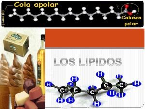 Composicion de los lipidos