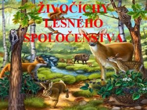 IVOCHY LESNHO SPOLOENSTVA 8 3 2021 18 30