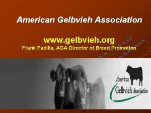 American gelbvieh association