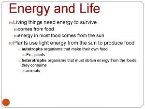 Energy and Life Living things need energy to