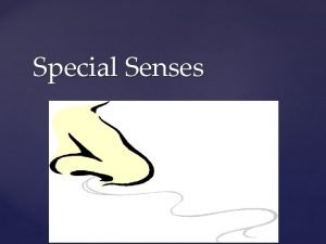 Special Senses Sensory receptors are large complex sensory