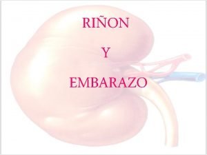 RION Y EMBARAZO CAMBIOS MORFOLOGICOS FUNCIONALES HEMODINAMICOS RION