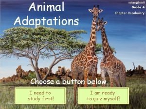 Animal adaptations grade 4