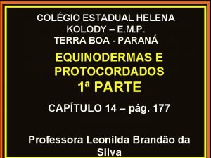 COLGIO ESTADUAL HELENA KOLODY E M P TERRA