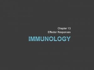 Chapter 13 Effector Responses IMMUNOLOGY Antibody Mediated Effector