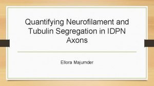 Quantifying Neurofilament and Tubulin Segregation in IDPN Axons