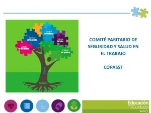 COMIT PARITARIO DE SEGURIDAD Y SALUD EN EL