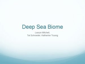 Deep sea biome