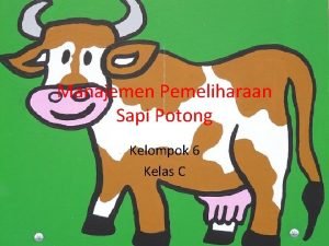 Manajemen Pemeliharaan Sapi Potong Kelompok 6 Kelas C