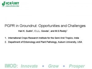 PGPR in Groundnut Opportunities and Challenges Hari K