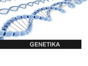 GENETIKA Meiosia Meiosia zelula diploide bakar batetik lau