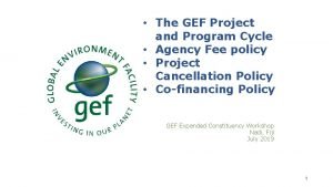 Gef project cycle