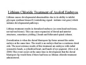 Lithium Chloride Treatment of Axolotl Embryos Lithium causes
