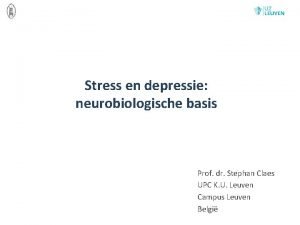 Stress en depressie neurobiologische basis Prof dr Stephan