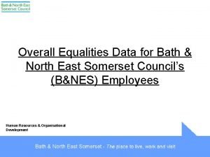 Overall Equalities Data for Bath North East Somerset