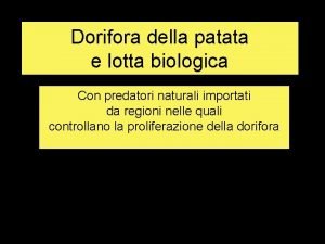 Dorifora della patata e lotta biologica Con predatori