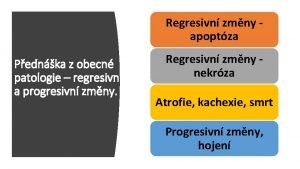 Regresivn zmny apoptza Pednka z obecn patologie regresivn