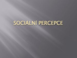 SOCILN PERCEPCE Sociln percepce Mra socializace dosplho lovka