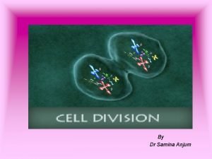 Tetrad and bivalent Tetrad and bivalent