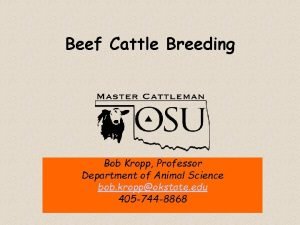 Beef Cattle Breeding Bob Kropp Professor Department of