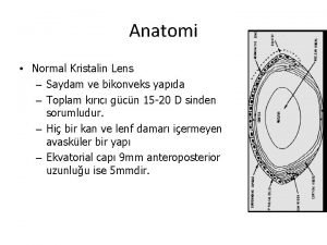 Anatomi Normal Kristalin Lens Saydam ve bikonveks yapda