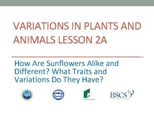 VARIATIONS IN PLANTS AND ANIMALS LESSON 2 A