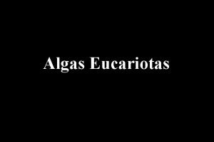 Algas Eucariotas Doushantuo 650 550 Ma Grypania spiralis