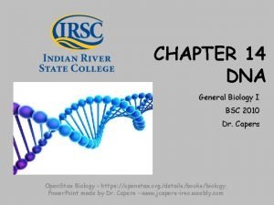 CHAPTER 14 DNA General Biology I BSC 2010