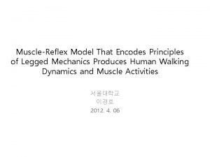 MuscleReflex Model That Encodes Principles of Legged Mechanics