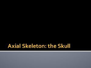 Axial Skeleton the Skull Axial Skeleton 80 of