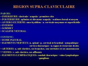 REGION SUPRACLAVICULAIRE PAROIS INFERIEURE clavicule scapula premire cte