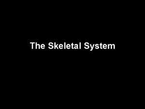 The Skeletal System Axial Skeleton Appendicular Skeleton Axial