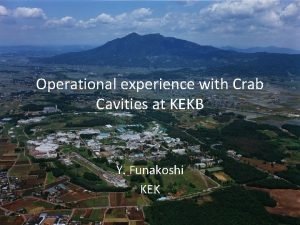 Operational experience with Crab Cavities at KEKB Y