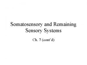 Somatosensory and Remaining Sensory Systems Ch 7 contd
