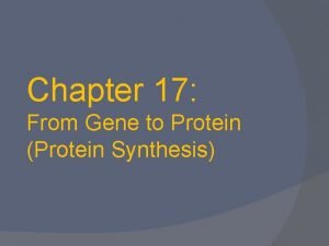 Chapter 17 From Gene to Protein Protein Synthesis