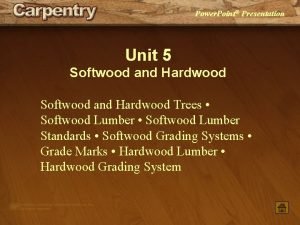 5 softwood trees