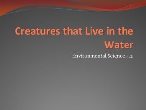 Creatures that Live in the Water Environmental Science