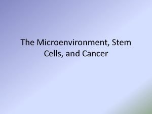 The Microenvironment Stem Cells and Cancer Microenvironment Signaling