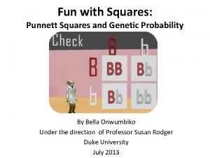 Fun with Squares Punnett Squares and Genetic Probability