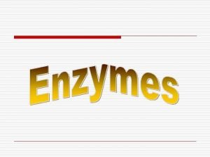 Factors that affect enzymes
