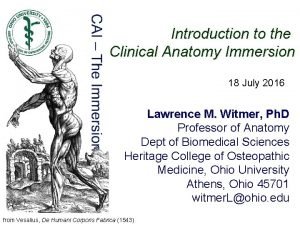 Systemic anatomy