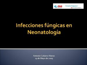 Infecciones fngicas en Neonatologa Antonio Cuarro Alonso 19