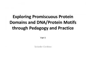 Exploring Promiscuous Protein Domains and DNAProtein Motifs through