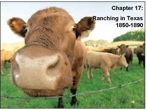 Chapter 17 Ranching in Texas 1850 1890 The