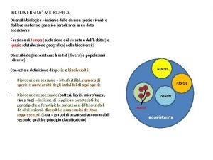 BIODIVERSITA MICROBICA Diversit biologica insieme delle diverse specie