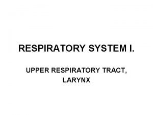 RESPIRATORY SYSTEM I UPPER RESPIRATORY TRACT LARYNX NASUS