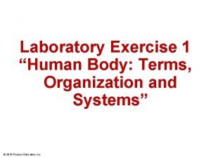 Exercise 1 body organization and terminology answers
