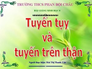 TRNG THCS PHAN BI CH U BI GING