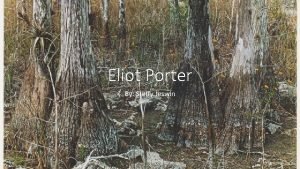 Eliot Porter By Steffy Jeswin Path in Woods