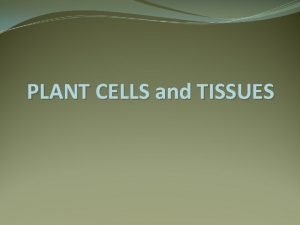 PLANT CELLS and TISSUES PLANT CELLS PLANT TISSUES